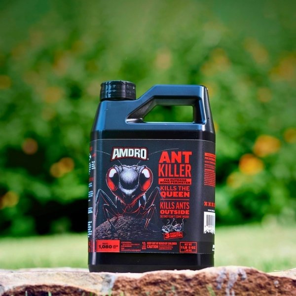 Put a fence around your house to keep the ants before they march in your house!