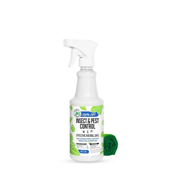Killing carpenter ants, termites, wood-destroying bugs, both indoors and out, so your house may be safe and sound!
