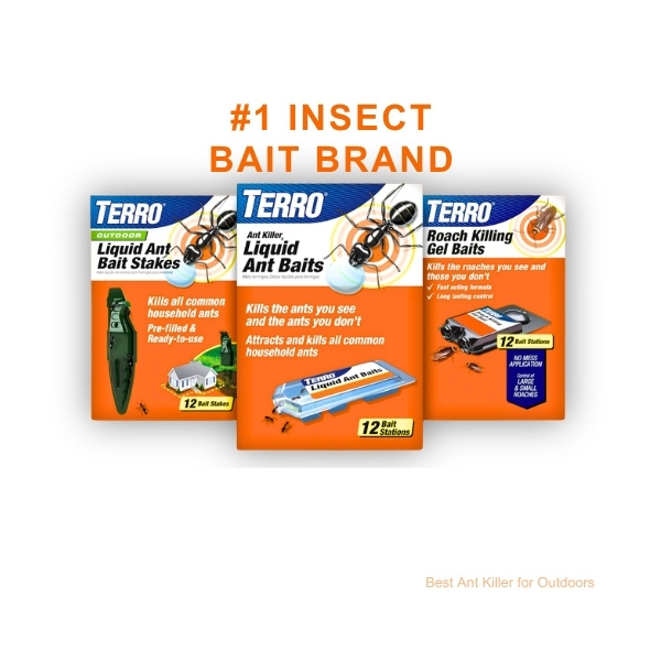 Kills the entire ant colony - Sweet liquid attracts worker ants.