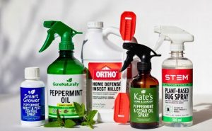In search of the best ant repellant spray 2026? Finding the best 5 ant repelling sprays to use as a way of keeping ants out of your home