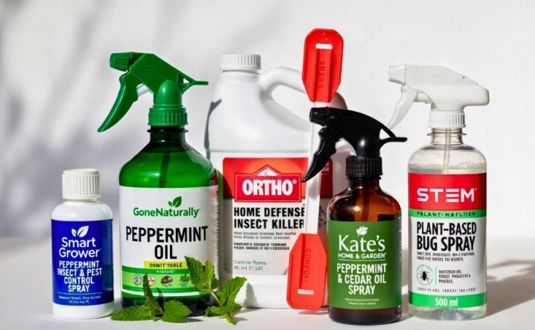 In search of the best ant repellant spray 2026? Finding the best 5 ant repelling sprays to use as a way of keeping ants out of your home