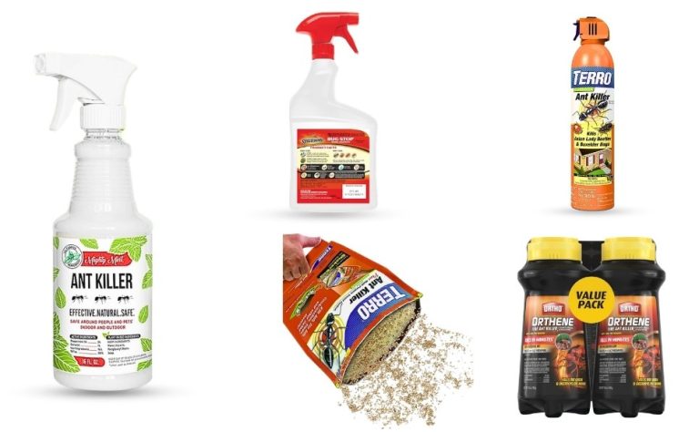 the best outdoor ant killer spray